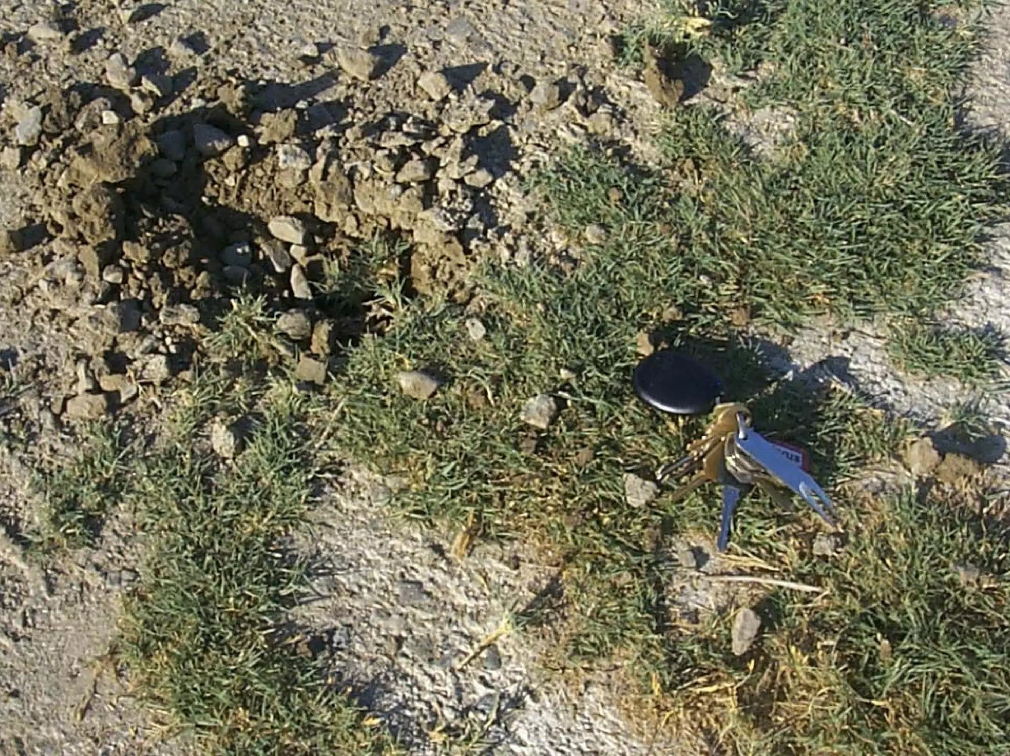 Turf Drough Tresistance