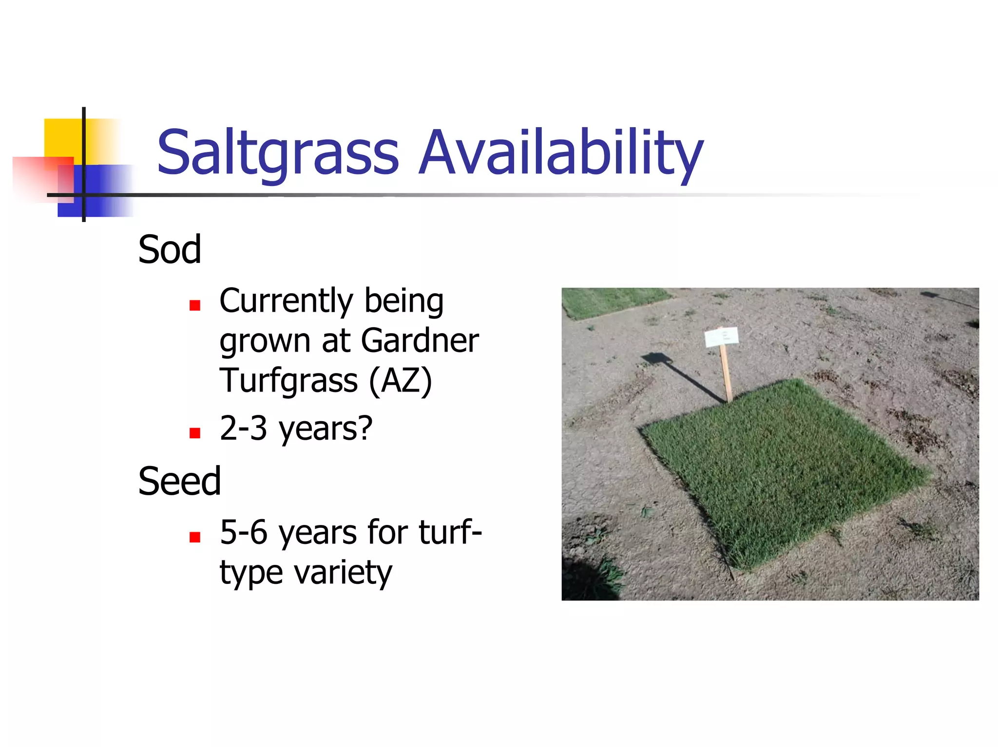 Turf Drough Tresistance