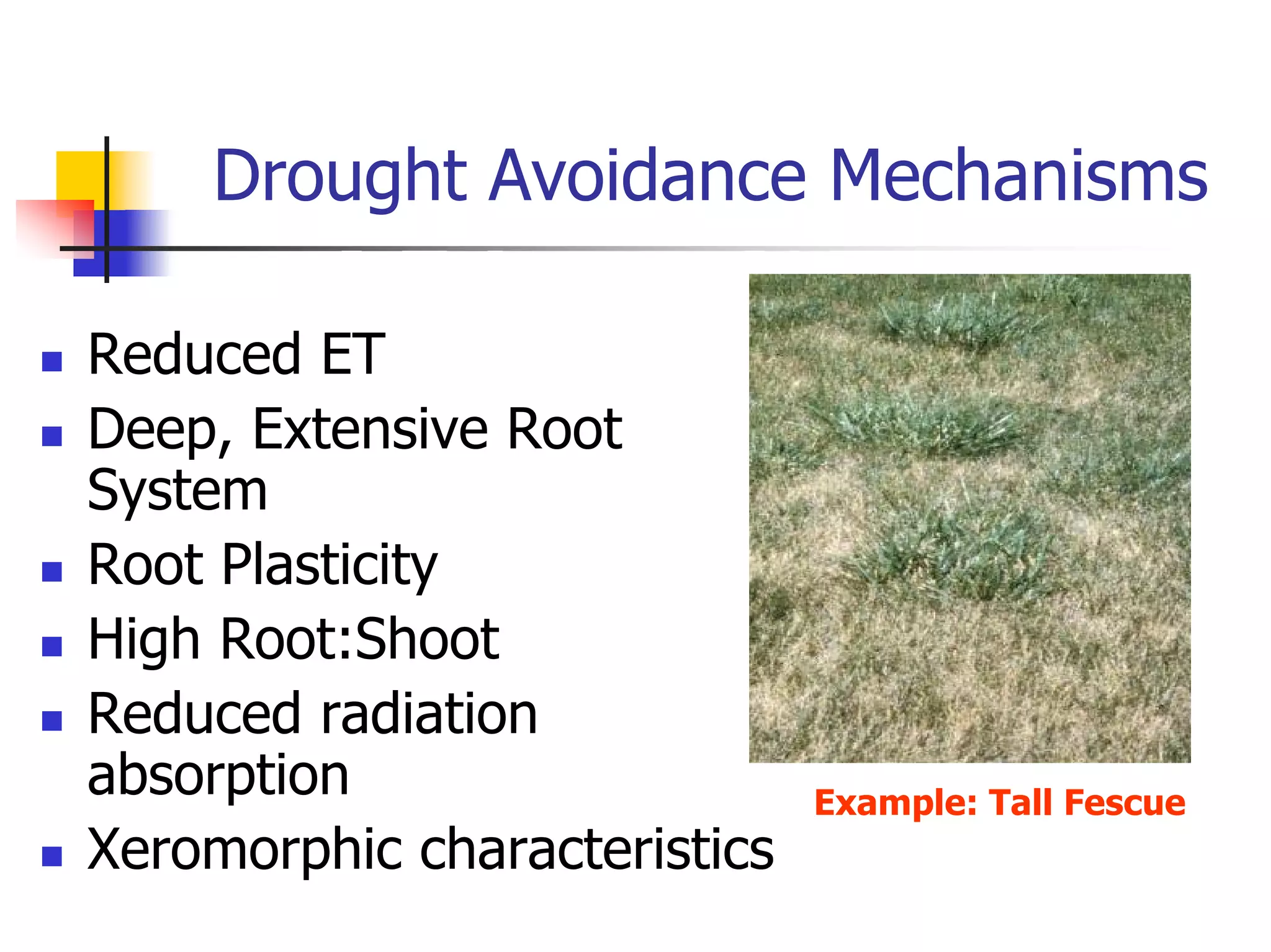 Turf Drough Tresistance