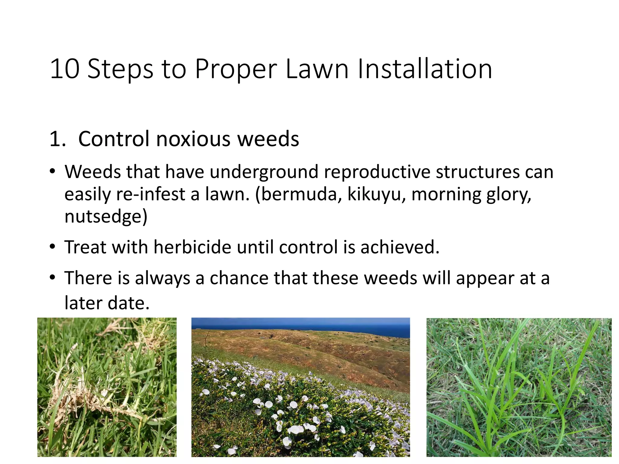 10 Steps to Proper Lawn Installation
1. Control noxious weeds
• Weeds that have underground reproductive structures can
easily re-infest a lawn. (bermuda, kikuyu, morning glory,
nutsedge)
• Treat with herbicide until control is achieved.
• There is always a chance that these weeds will appear at a
later date.
 