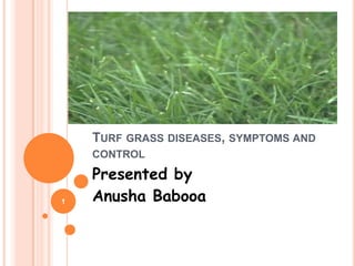 TURF GRASS DISEASES, SYMPTOMS AND
    CONTROL

    Presented by
1   Anusha Babooa
 