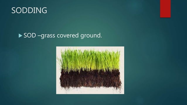 STEPS IN ESTABLISHMENT OF TURF GRASS | PPTX | Gardening | Home & Garden