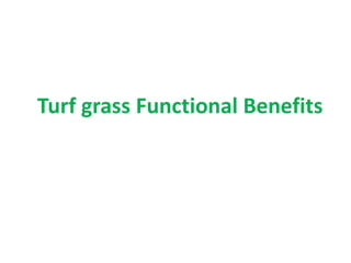 Turf grass Functional Benefits
 
