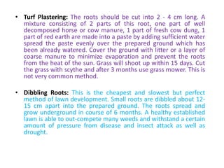 • Turf Plastering: The roots should be cut into 2 - 4 cm long. A
mixture consisting of 2 parts of this root, one part of well
decomposed horse or cow manure, 1 part of fresh cow dung, 1
part of red earth are made into a paste by adding sufficient water
spread the paste evenly over the prepared ground which has
been already watered. Cover the ground with litter or a layer of
coarse manure to minimize evaporation and prevent the roots
from the heat of the sun. Grass will shoot up within 15 days. Cut
the grass with scythe and after 3 months use grass mower. This is
not very common method.
• Dibbling Roots: This is the cheapest and slowest but perfect
method of lawn development. Small roots are dibbled about 12-
15 cm apart into the prepared ground. The roots spread and
grow underground in course of 6 months. A healthy established
lawn is able to out-compete many weeds and withstand a certain
amount of pressure from disease and insect attack as well as
drought.
 