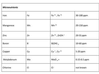Micronutrients
Iron Fe Fe 2+ , Fe 3+ 30-100 ppm
Manganese Mn Mn 2+ 20-150 ppm
Zinc Zn Zn 2+ , ZnOH + 20-55 ppm
Boron B B(OH) 3 10-60 ppm
Copper Cu Cu + , Cu 2+ 5-20 ppm
Molybdenum Mo MoO 4 + 0.15-0.5 ppm
Chlorine Cl Cl - not known
 