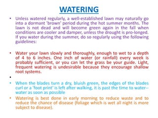 WATERING
• Unless watered regularly, a well-established lawn may naturally go
into a dormant 'brown' period during the hot summer months. The
lawn is not dead and will become green again in the fall when
conditions are cooler and damper, unless the drought is pro-longed.
If you water during the summer, do so regularly using the following
guidelines:
• Water your lawn slowly and thoroughly, enough to wet to a depth
of 4 to 6 inches. One inch of water (or rainfall) every week is
probably sufficient, or you can let the grass be your guide. Light,
frequent watering is undesirable because they encourage shallow
root systems.
•
• When the blades turn a dry, bluish green, the edges of the blades
curl or a 'foot print' is left after walking, it is past the time to water--
water as soon as possible
• Watering is best done in early morning to reduce waste and to
reduce the chance of disease (foliage which is wet all night is more
subject to disease).
 