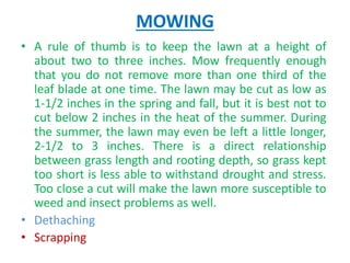 MOWING
• A rule of thumb is to keep the lawn at a height of
about two to three inches. Mow frequently enough
that you do not remove more than one third of the
leaf blade at one time. The lawn may be cut as low as
1-1/2 inches in the spring and fall, but it is best not to
cut below 2 inches in the heat of the summer. During
the summer, the lawn may even be left a little longer,
2-1/2 to 3 inches. There is a direct relationship
between grass length and rooting depth, so grass kept
too short is less able to withstand drought and stress.
Too close a cut will make the lawn more susceptible to
weed and insect problems as well.
• Dethaching
• Scrapping
 