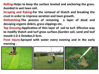Rolling-Helps to keep the surface leveled and anchoring the grass.
Avoided in wet lawn soil.
Scraping and Raking-For the removal of thatch and breaking the
crust in order to improve aeration and lawn growth.
Dethatching-The process of removing a layer of dead and
decaying organic debris, grass clippings etc.
Top Dressing-Application of thin layer of soil to turf. Effective way
to modify thatch and turf grass surface.(Garden soil, sand and leaf
mould-1:2:1-October,3-5cm.
Frost Injury-Sprayed with water every evening and in the early
morning .
 