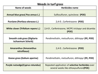 Weeds in turf grass
Name of weeds Herbicides name
Annual blue grass( Poa annua L.) Sulfosulfuron, quinclorac (POE)
Purslane (Portlaca oleracea L.) 2,4-D , Carfentrazone (POE)
White clover (Trifolium repens L.) 2,4-D , Carfentrazone, MCPP, triclopyr and dicamba
(POE)
Smooth crab grass (Digitaria
ischaemum Scherb)
Pendimethalin, metsulfuron, dithiopyr (PE, POE)
Amaranthus (Amaranthus
retroflexus)
2,4-D , Carfentrazone (POE)
Goose grass (Galium aparine) Pendimethalin, metsulfuron, dithiopyr (PE, POE)
Purple nutsedge(Cyprus rotundus) Repeated application of selective herbicides over
several weeks like ethoxysulfuron(POE)
 