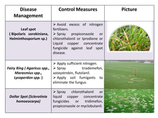 Disease
Management
Control Measures Picture
Leaf spot
( Bipolaris sorokiniana,
Helminthosporium sp.)
 Avoid excess of nitrogen
fertilizers.
 Spray propiconazole or
chlorothalonil or Iprodione or
Liquid copper concentrate
fungicide against leaf spot
disease.
Fairy Ring ( Agaricus spp.,
Marasmius spp.,
Lycoperdon spp. )
 Apply sufficient nitrogen.
 Spray triademefon,
azoxystrobin, flutolanil.
 Apply soil fumigants to
eliminate the fungus.
Dollar Spot (Sclerotinia
homoeocarpa)
 Spray chlorothalonil or
liquid copper concentrate
fungicides or tridimefon,
propiconazole or myclobutanil.
 