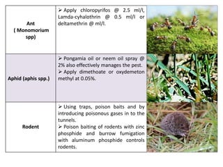 Ant
( Monomorium
spp)
 Apply chloropyrifos @ 2.5 ml/l,
Lamda-cyhalothrin @ 0.5 ml/l or
deltamethrin @ ml/l.
Aphid (aphis spp.)
 Pongamia oil or neem oil spray @
2% also effectively manages the pest.
 Apply dimethoate or oxydemeton
methyl at 0.05%.
Rodent
 Using traps, poison baits and by
introducing poisonous gases in to the
tunnels.
 Poison baiting of rodents with zinc
phosphide and burrow fumigation
with aluminum phosphide controls
rodents.
 
