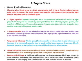 F. Zoysia Grass
• Zoysia Species (Poaceae)
• Characteristics: Zoysia grass is a thick, slow-growing turf. It has a fine-to-medium texture;
color varies by cultivar. The zoysia grasses have superior cold tolerance, more attractive lawn
than St. Augustine grass or centipede grass.
• 1. Zoysia japonica: Japanese lawn grass has a coarse texture similar to tall fescue. Its light
green leaf is hairy and has a relatively faster growth rate than other zoysia grass species, with
excellent cold tolerance. However, this species of zoysia grass does not make as good a lawn
as other improved cultivars and species make.
• 2. Zoysia matrella: Matrella has a finer leaf texture and is more shade tolerance. Manila grass
resembles Bermuda grass and is recommended for a high-quality, high-maintenance lawn but
it has less cold tolerance.
• Temperature Tolerance: Manila grass (Zoysia matrella) is intermediate in cold tolerance and
fineness. It is increasingly popular due to good quality lawn. Japanese lawn grass (Zoysia
japonica) is coarse in texture but much more cold-hardy than the other species.
• Shade Adaptation: The zoysia grasses form dense, thick sods of high quality. They have more
shade tolerance than Bermuda grass and form a finer, more attractive lawn.
• Recommended Usage: A highly versatile species, zoysia grasses make ideal lawn grasses in
some situations and can be used on golf courses, parks and athletic fields. They can be grown
in all kinds of soils ranging from sands to clays and both acid and alkaline in reaction.
 