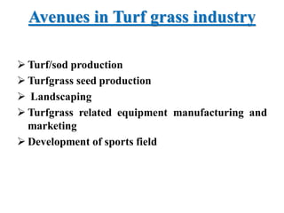Avenues in Turf grass industry
 Turf/sod production
 Turfgrass seed production
 Landscaping
 Turfgrass related equipment manufacturing and
marketing
 Development of sports field
 