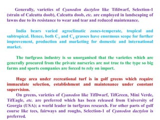 Generally, varieties of Cyanodon dactylon like Tifdwarf, Selection-1
(strain of Calcutta doob), Calcutta doob, etc. are employed in landscaping of
lawns due to its resistance to wear and tear and reduced maintenance.
India bears varied agroclimatic zones-temperate, tropical and
subtropical. Hence, both C3 and C4 grasses have enormous scope for further
improvement, production and marketing for domestic and international
market.
The turfgrass industry is so unorganised that the varieties which are
generally procured from the private nurseries are not true to the type so big
farms and sports companies are forced to rely on import.
Huge area under recreational turf is in golf greens which require
immaculate selection, establishment and maintenance under constant
supervision.
On greens, varieties of Cyanodon like TifDwarf, TifGreen, Mini Verde,
TifEagle, etc. are preferred which has been released from University of
Georgia (USA); a world leader in turfgrass research. For other parts of golf
course like tees, fairways and roughs, Selection-1 of Cyanodon dactylon is
preferred.
 