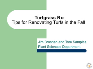 Jim Brosnan and Tom Samples Plant Sciences Department Turfgrass Rx: Tips for Renovating Turfs in the Fall   
