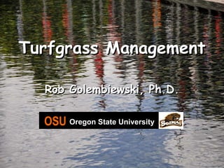 Turfgrass Management Rob Golembiewski, Ph.D. OSU   Oregon State University 