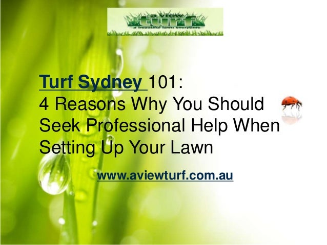 Turf Sydney 101:
4 Reasons Why You Should
Seek Professional Help When
Setting Up Your Lawn
www.aviewturf.com.au
 