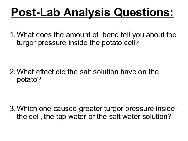 potato water potential Exercise 3: water potential of potato cores this activity is very similar to exercise 2, except that you use cores from potatoes instead of dialysis bags you submerge the cores in solutions of varying sucrose concentrations. potato water potential Exercise 3: water potential of potato cores this activity is very similar to exercise 2, except that you use cores from potatoes instead of dialysis bags you submerge the cores in solutions of varying sucrose concentrations.
