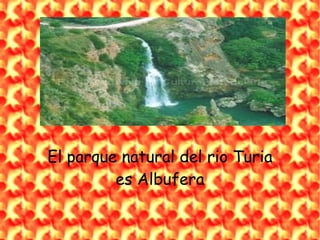 El parque natural del rio Turia
         es Albufera
 