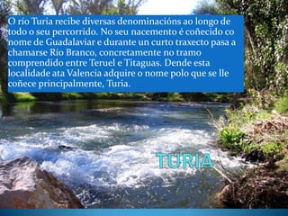 O río Turia recibe diversas denominacións ao longo de
todo o seu percorrido. No seu nacemento é coñecido co
nome de Guadalaviar e durante un curto traxecto pasa a
chamarse Río Branco, concretamente no tramo
comprendido entre Teruel e Titaguas. Dende esta
localidade ata Valencia adquire o nome polo que se lle
coñece principalmente, Turia.

 