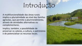 Introdução
A multifuncionalidade das áreas rurais
implica a pluriatividade ao nível das famílias
agrícolas, que permite o plurirrendimento,
através de atividades alternativas ou
complementares.
Implica, também, a possibilidade de
preservar os valores, a cultura, o património
e de potencializar os recursos locais.
 