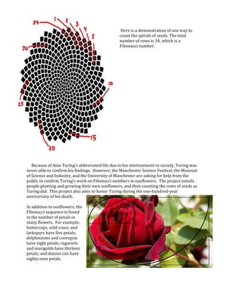 Fibonacci Sequence Using Growing Pattern Turing fibonacci numbers | PDF