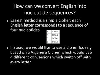 How can we convert English into
        nucleotide sequences?
   Easiest method is a simple cipher: each
    English letter corresponds to a sequence of
    four nucleotides


   Instead, we would like to use a cipher loosely
    based on a Vigenère Cipher, which would use
    4 different conversions which switch off with
    every letter.
 