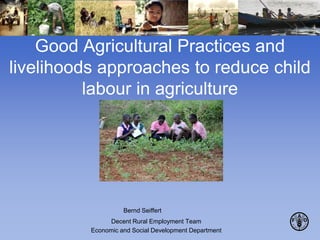 Decent Rural Employment Team
Economic and Social Development Department
Good Agricultural Practices and
livelihoods approaches to reduce child
labour in agriculture
Bernd Seiffert
 