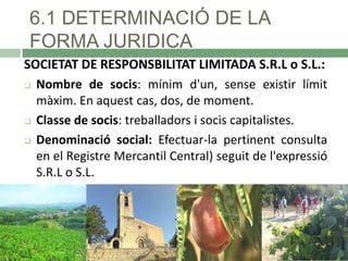 6.1 DETERMINACIÓ DE LA
FORMA JURIDICA
SOCIETAT DE RESPONSBILITAT LIMITADA S.R.L o S.L.:
 Nombre de socis: mínim d'un, sense existir límit
màxim. En aquest cas, dos, de moment.
 Classe de socis: treballadors i socis capitalistes.
 Denominació social: Efectuar-la pertinent consulta
en el Registre Mercantil Central) seguit de l'expressió
S.R.L o S.L.

 