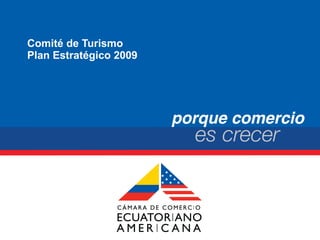 Comité de Turismo Plan Estratégico 2009 