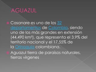 AGUAZULCasanare es uno de los 32 departamentos de Colombia, siendo uno de los más grandes en extensión (44.490 km²), que representa el 3.9% del territorio nacional y el 17.55% de la Orinoquía colombiana.Aguazul tierra de paraísos naturales, tierras vírgenes