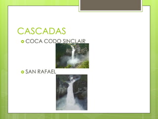 CASCADAS
 COCA    CODO SINCLAIR




 SAN   RAFAEL
 