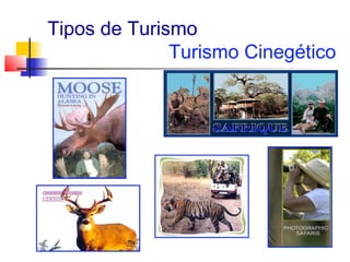 Tipos de Turismo
              Turismo Cinegético
 