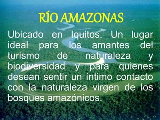 RÍO AMAZONAS 
Ubicado en Iquitos. Un lugar 
ideal para los amantes del 
turismo de naturaleza y 
biodiversidad y para quienes 
desean sentir un íntimo contacto 
con la naturaleza virgen de los 
bosques amazónicos. 
 
