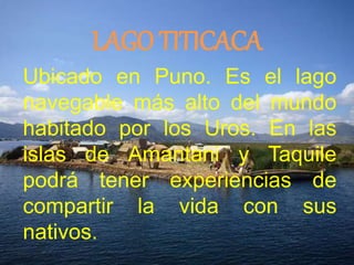 LAGO TITICACA 
Ubicado en Puno. Es el lago 
navegable más alto del mundo 
habitado por los Uros. En las 
islas de Amantani y Taquile 
podrá tener experiencias de 
compartir la vida con sus 
nativos. 
 