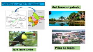 YURIMAGUAS LA PERLA DEL HUALLAGA
Qué hermoso paisaje
Plaza de armas
Qué lindo tucán
 