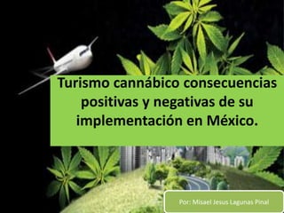 Turismo cannábico consecuencias
positivas y negativas de su
implementación en México.
Por: Misael Jesus Lagunas Pinal
 