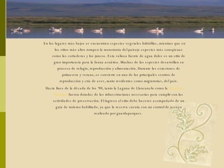 En los lugares más bajos se encuentran especies vegetales hidrófilas, mientras que en los sitios más altos rompen la monotonía del paisaje especies más conspicuas como las cortaderas y los juncos. Esta valiosa fuente de agua dulce es un sitio de gran importancia para la fauna acuática. Muchas de las especies desarrollan su proceso de refugio, reproducción y alimentación. Durante las estaciones de primavera y verano, se convierte en uno de los principales centros de reproducción y cría de aves, tanto residentes como migratorias, del país. Hacia fines de la década de los ‘90, tanto la Laguna de Llancanelo como la  Reserva  Payunia   fueron dotadas de las infraestructuras necesarias para cumplir con las actividades de preservación. El ingreso al sitio debe hacerse acompañado de un guía de turismo habilitado, ya que la reserva cuenta con un control de acceso realizado por guardaparques.  