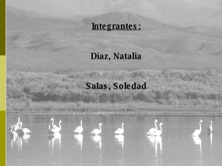 Integrantes: Díaz, Natalia Salas, Soledad 