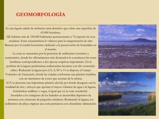 GEOMORFOLOGÍA Es una laguna salada de ambiente semi-desértico que cubre una superficie de 65.000 hectáreas. Allí, habitan más de 150.000 habitantes pertenecientes a 74 especies de aves acuáticas. Estas características le valieron para la categorización de sitio Ramsar por el comité homónimo dedicado a la preservación de humedales en el mundo. La zona se caracteriza por la presencia de sedimentos terciarios y cuaternarios, donde los afloramientos más destacados lo constituyen las rocas basálticas correspondientes a dos épocas eruptivas importantes. En la periferia de la laguna predominan sedimentitas lacustres con alto contenido salino. Rodeando la laguna por el E, S, SO y O se dispone el Campo Volcánico de Llancanelo, donde las coladas conforman una planicie basáltica con un sinnúmero de conos que asoman de la misma. Al N se presenta una importante planicie aluvial, por donde desaguan casi la totalidad de ríos y arroyos que aportan el mayor volumen de agua a la laguna, formándose mallines o vegas, al igual que en la zona occidental.  Asociados a los márgenes de los bañados se desarrollan depósitos de areniscas con estructura de pequeños médanos. Bordeando la laguna, los sedimentos de playa originan una zona pantanosa con abundante salinización.  
