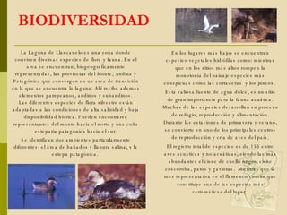 BIODIVERSIDAD La Laguna de Llancanelo es una zona donde conviven diversas especies de flora y fauna. En el area se encuentran, biogeograficamente representadas, las provincias del Monte, Andina y Patagónica que convergen en un area de transición en la que se encuentra la laguna. Allí recibe además elementos pampeanos, andinos y subandinos. Las diferentes especies de flora silvestre están adaptadas a las condiciones de alta salinidad y baja disponibilidad hídrica. Pueden encontrarse representantes del monte hacia el norte y una cuña esteparia patagónica hacia el sur. Se identifican dos ambientes particularmente diferentes: el área de bañados y llanura salina, y la estepa patagónica.  En los lugares más bajos se encuentran especies vegetales hidrófilas como:   mientras que en los sitios más altos rompen la monotonía del paisaje especies más conspicuas como las cortaderas  y los juncos.  Esta valiosa fuente de agua dulce, es un sitio de gran importancia para la fauna acuática. Muchas de las especies desarrollan su proceso de refugio, reproducción y alimentación. Durante las estaciones de primavera y verano, se convierte en uno de los principales centros de reproducción y cría de aves del país. El registro total de especies es de 155 entre aves acuáticas y no acuáticas, siendo las más abundantes el cisne de cuello negro, cisne coscoroba, patos y gaviotas.  Mientras que la más representativa es el flamenco común que   constituye una de las especies más carismáticas del lugar.  
