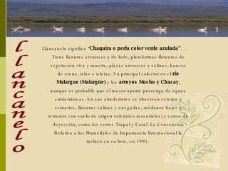 Llancanelo significa " Chaquira o perla color verde azulada" .  . Tiene llanuras arenosas y de lodo, plataformas flotantes de vegetación viva y muerta, playas arenosas y salinas, bancos de arena, islas e isletas. Su principal colector es el  río Malargue (Malargüe)  y los  arroyos Mocho y Chacay , aunque es probable que el mayor aporte provenga de aguas subterráneas. En sus alrededores se observan esteros y estuarios, llanuras salinas y anegadas, médanos bajos y terrenos con suelo de origen volcánico (escoriales) y conos de deyección, como los cerros Trapal y Coral. La Convención Relativa a los Humedales de Importancia Internacional la incluyó en su lista, en 1995.   llancanelo 