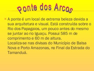 A ponte é um local de extrema beleza devida a sua arquitetura e visual. Está construída sobre o Rio dos Papagaios, um pouco antes do mesmo se juntar ao rio Iguaçu. Possui 585 m de comprimento e 60 m de altura.  Localiza-se nas divisas do Município de Balsa Nova e Porto Amazonas, no Final da Estrada do Tamanduá.  Ponte dos Arcos 
