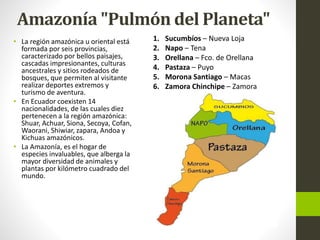 Amazonía "Pulmón del Planeta"
• La región amazónica u oriental está
formada por seis provincias,
caracterizado por bellos paisajes,
cascadas impresionantes, culturas
ancestrales y sitios rodeados de
bosques, que permiten al visitante
realizar deportes extremos y
turismo de aventura.
• En Ecuador coexisten 14
nacionalidades, de las cuales diez
pertenecen a la región amazónica:
Shuar, Achuar, Siona, Secoya, Cofan,
Waorani, Shiwiar, zapara, Andoa y
Kichuas amazónicos.
• La Amazonía, es el hogar de
especies invaluables, que alberga la
mayor diversidad de animales y
plantas por kilómetro cuadrado del
mundo.
1. Sucumbíos – Nueva Loja
2. Napo – Tena
3. Orellana – Fco. de Orellana
4. Pastaza – Puyo
5. Morona Santiago – Macas
6. Zamora Chinchipe – Zamora
 