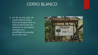 CERRO BLANCO
 km 16, vía a la costa. Se
puede admirar flora y
fauna de bosque seco, se
disfruta del turismo de
aventura en una reserva
ecológica con
posibilidad de camping
de un día a otro.
 