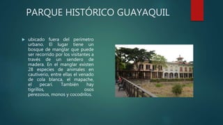 PARQUE HISTÓRICO GUAYAQUIL
 ubicado fuera del perímetro
urbano. El lugar tiene un
bosque de manglar que puede
ser recorrido por los visitantes a
través de un sendero de
madera. En el manglar existen
28 especies de animales en
cautiverio, entre ellas el venado
de cola blanca, el mapache,
el pecarí. También hay
tigrillos, osos
perezosos, monos y cocodrilos.
 