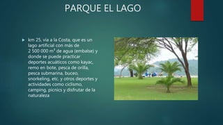 PARQUE EL LAGO
 km 25, vía a la Costa, que es un
lago artificial con más de
2 500 000 m³ de agua (embalse) y
donde se puede practicar
deportes acuáticos como kayac,
remo en bote, pesca de orilla,
pesca submarina, buceo,
snorkeling, etc. y otros deportes y
actividades como ciclismo,
camping, picnics y disfrutar de la
naturaleza
 