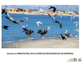 Generar un IMPACTO REAL EN LA CUENTA DE RESULTADOS DE LAS EMPRESAS
 