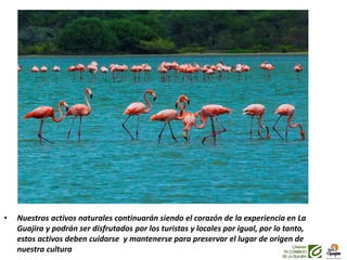 • Nuestros activos naturales continuarán siendo el corazón de la experiencia en La
Guajira y podrán ser disfrutados por los turistas y locales por igual, por lo tanto,
estos activos deben cuidarse y mantenerse para preservar el lugar de origen de
nuestra cultura
 