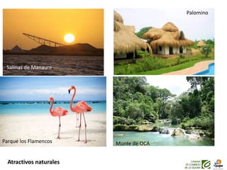 Atractivos naturales
Salinas de Manaure
Monte de OCA
Palomino
Parque los Flamencos
 